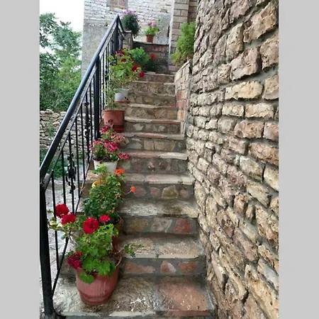 Kubeja Guest House Gjirokastër Extérieur photo